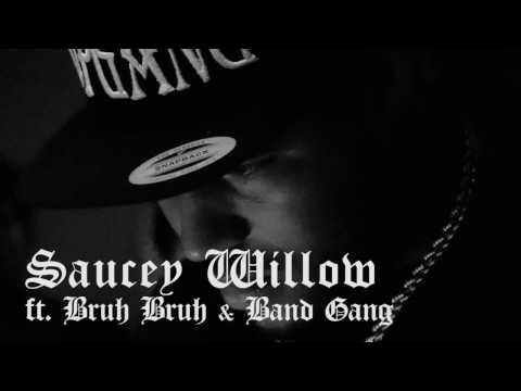 Saucey Willow ft. Bruh Bruh x Band Gang