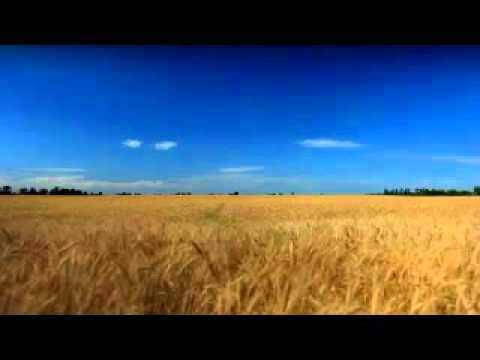 download lagu mp3 mp4 La Route 11, download lagu La Route 11 gratis, unduh video klip La Route 11