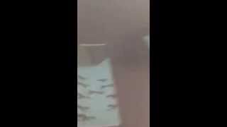 Sbtrkt - Wonder where we land (2014) Lir