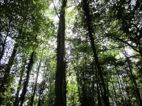 YONI Dance no more ( Original mix )