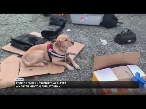 Eddig 16 ember köszönheti az életét a magyar mentőalakulatoknak