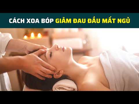 xxi xxi xxi 2022 xxi xxii