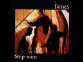 Stripmining - JAMES  1988 📀 Strip-mine