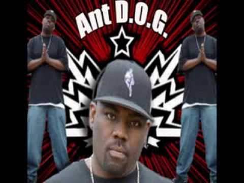 ANT D.O.G. - So International