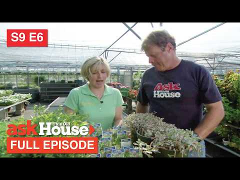 CCTV Drain Inspection: See What's Blocking Your Pipes