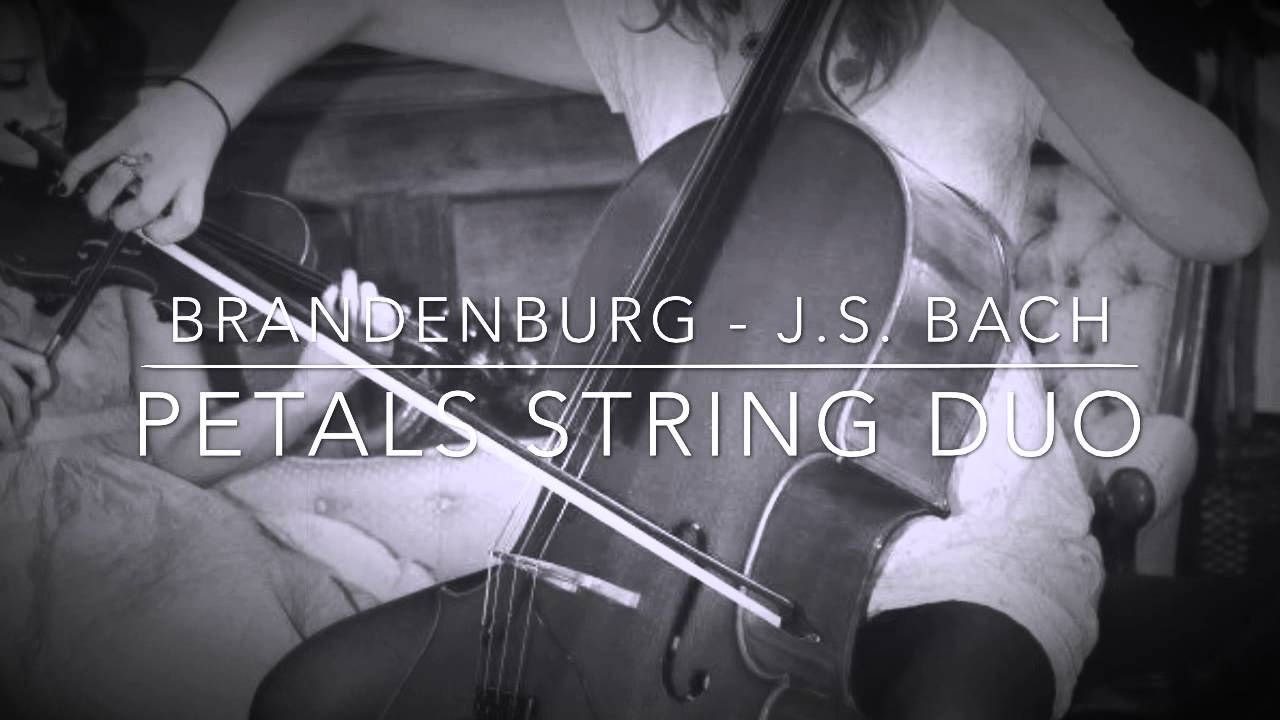 Promotional video thumbnail 2 for Petals String Duo