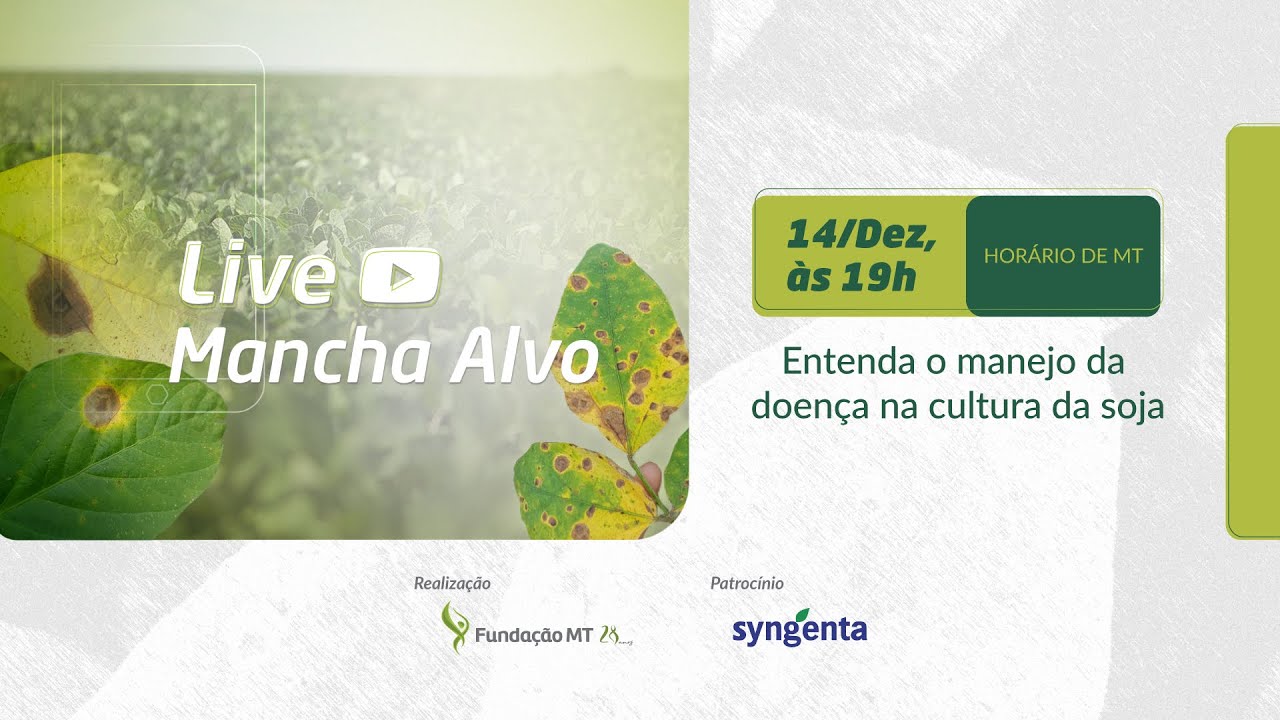 Live Mancha Alvo