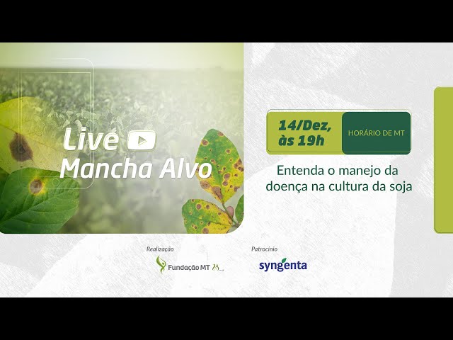 Live Mancha Alvo