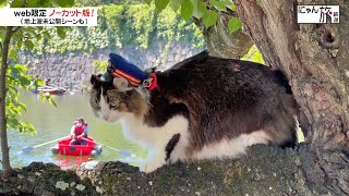 Vol.164「にゃん旅鉄道」ボートに乗りたいにゃ