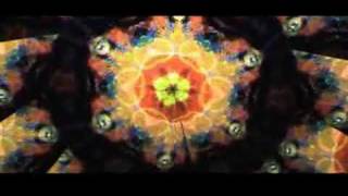 How Do You Think It Feels (Lou Reed) - Benjamin Starshine