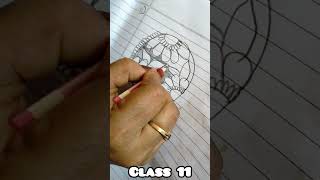 mehndi class 11