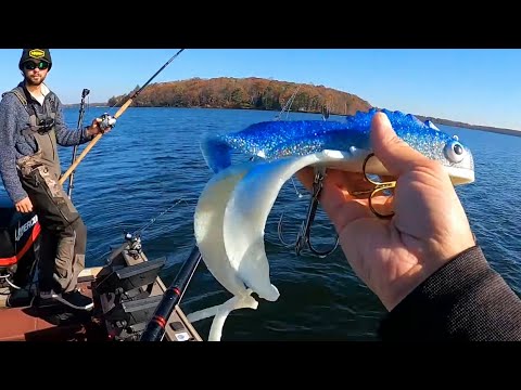 Fall Musky Fishing In CLEAR Water - Crazy Action!!