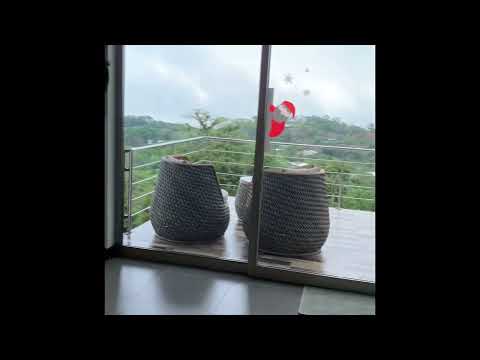 img-video