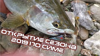 Как поймать симу на сахалине