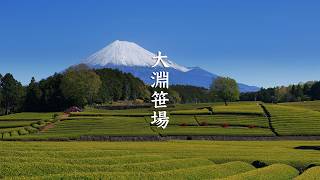 Obuchi Sasaba Green Tea Plantations and Mount Fuji video preview