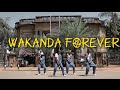 Sho madjozi - wakanda forever (official dance video)
