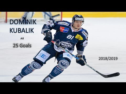 Dominik Kubalik - all 25 goals scored in 2018/2019