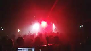 Spunge roots the garage 15/12/2017