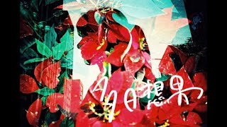 台湾日本合作短編映画『多日想果』（タピオカ）