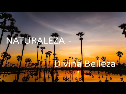 Naturaleza - Divina Belleza