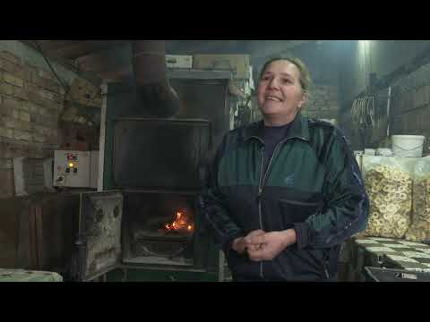 Naše dobro ep.89 11.04.20. Zadruga; Tuje; Voće; ART zimnica; Koze; Cveće; Pšenica; Moravka; Bilje