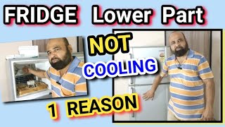 Double-Door Fridge Lower Part Not Cooling
