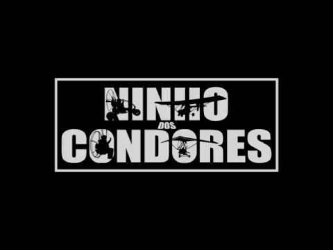 Ninho dos Condores - Voo Lindson Tanner