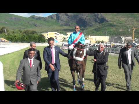 Barbe 2015 Bulsara #Lead In