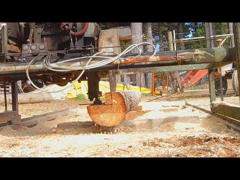 Homemade Sawmill maintenance / making free timber from pine logs..
