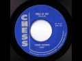 Jimmy Rogers - Trace Of You (Chess)