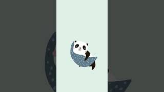 [IM] Sleeping cute panda