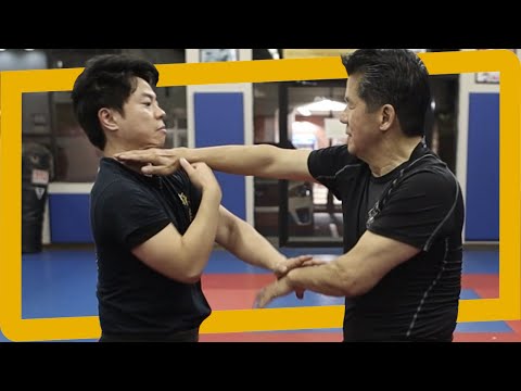 The Wing Chun Application That You Won't See Coming | Sifu Francis Fong