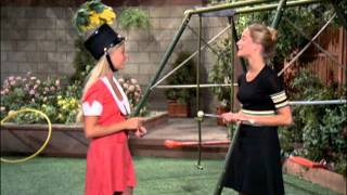 Diva / Mensch pair for 11/21/18