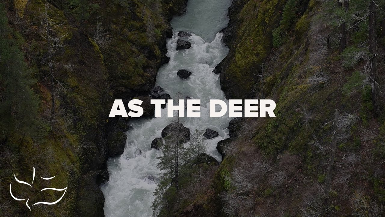 As the Deer | Lyric Video