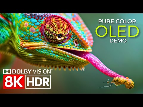 The Power of Pure Color — Dolby Vision in 8K Ultra HD HDR 60fps