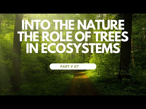 The Role of Trees in Ecosystems /What if there were 1 trillion more trees?