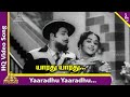 Yaaradhu Yaaradhu Video Song En Kadamai Movie Songs MGR Saroja Devi Viswanathan Ramamoorthy