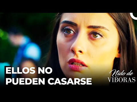 La Decepción Interminable De Elvan -Nido De Víboras Capitulo 6 (Dobladas en Español)