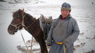DGHI-Led Research Team Brings Life-Saving Rapid Flu Diagnostics to Mongolia