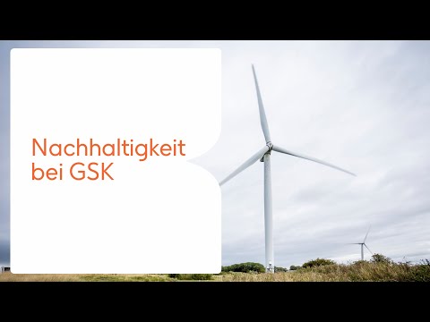 Bienen, Energie und Plastik: Unser Weg zu mehr Nachhaltigkeit!