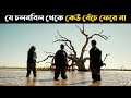 The Marshes Movie Explain In Bangla | Survival Movie Explained In Bangla | Cottage Screen