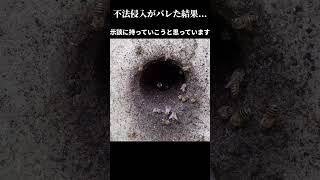 【緊急】不法侵入がバレました…