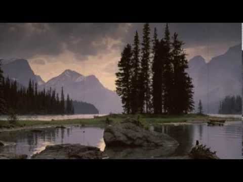 Wild Nature - Birthday improvisation for Bram van de Klundert (432hz)