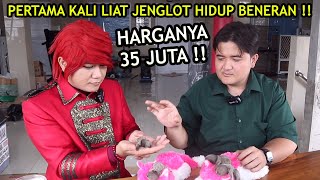 Download lagu TAKJUB ‼️ DOKTER INI PUNYA JENGLOT HIDUP ‼️ HARGANYA MAHAL BANGET - ILMU MERAH mp3 Download lagu TAKJUB ‼️ DOKTER INI PUNYA JENGLOT HIDUP ‼️ HARGANYA MAHAL BANGET - ILMU MERAH mp3