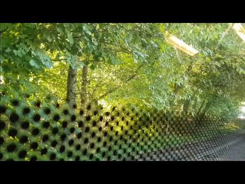 East Coast Buses Volvo B7RLE 10102 RIG 6492