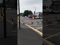 Heartwarming Moment Traffic Stops To Let A Family Of Geese Cross Busy Road In Ashton Road Manchester