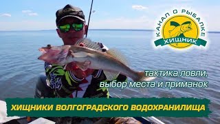 Карта рыболова и охотника север волгоградского водохранилища