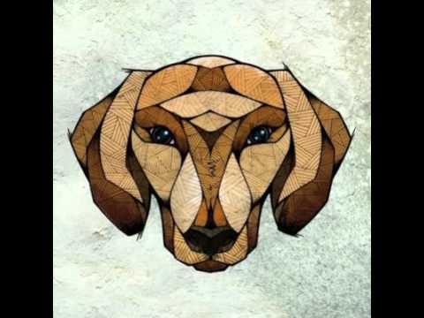 Dachshund - Kling Klong mix