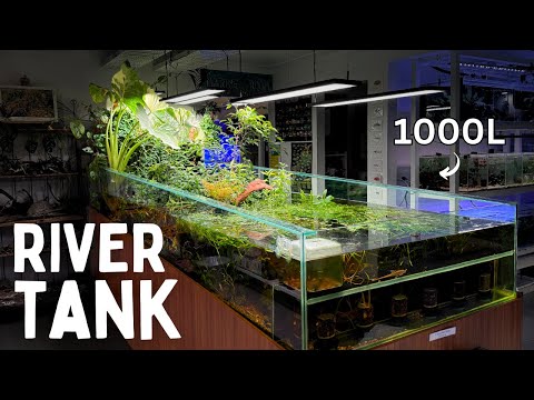 1000L Sloped River Tank at Atlas Aquariums!