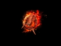 Hunger Games: Catching Fire (Mocking Jay Bird ...